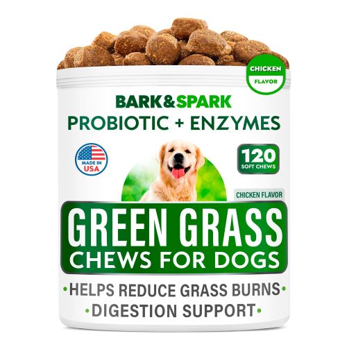 Bark&Spark™ Green Grass